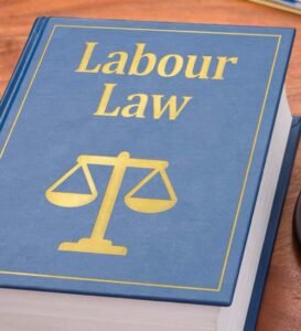 Labour Law Consultant